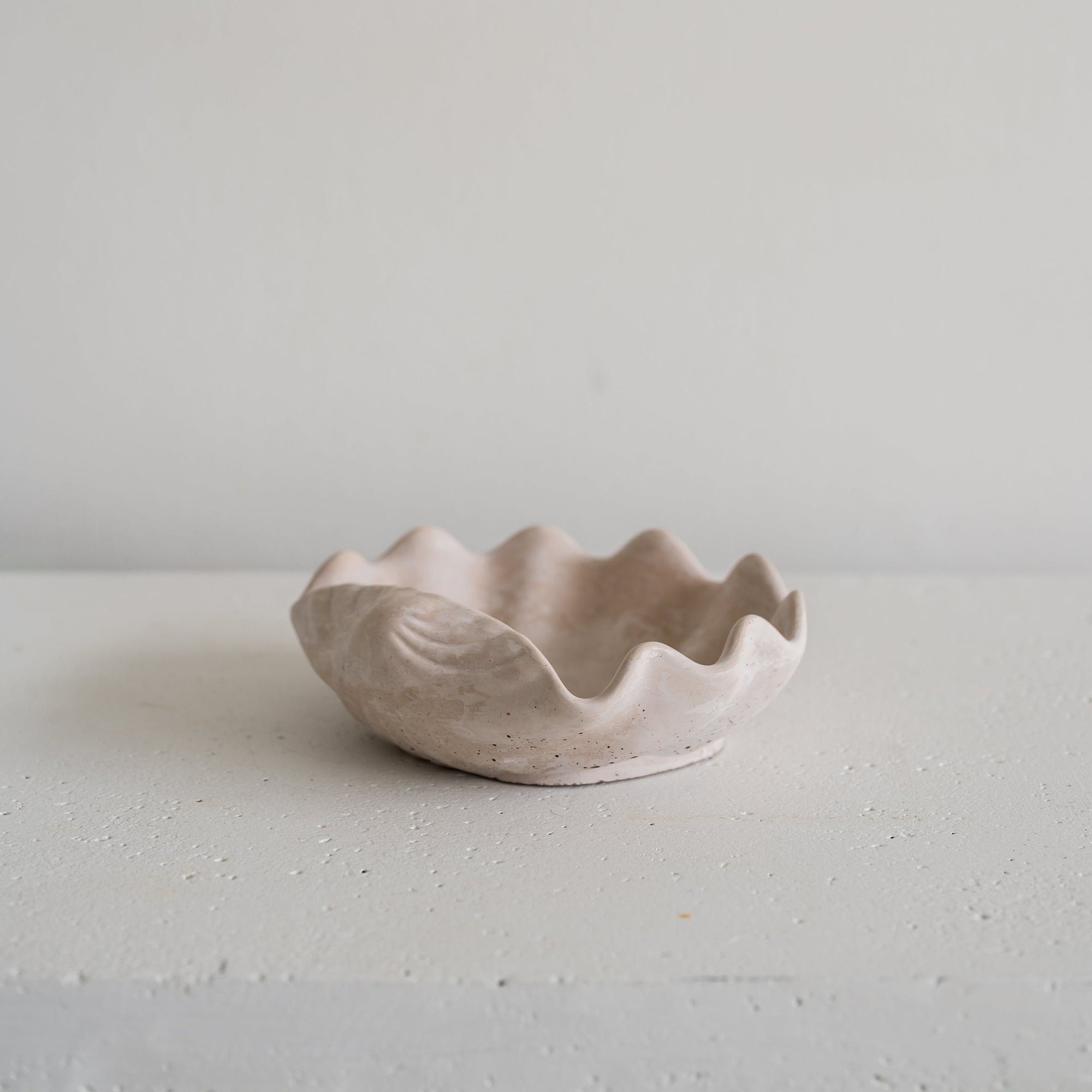 The Shell Tray