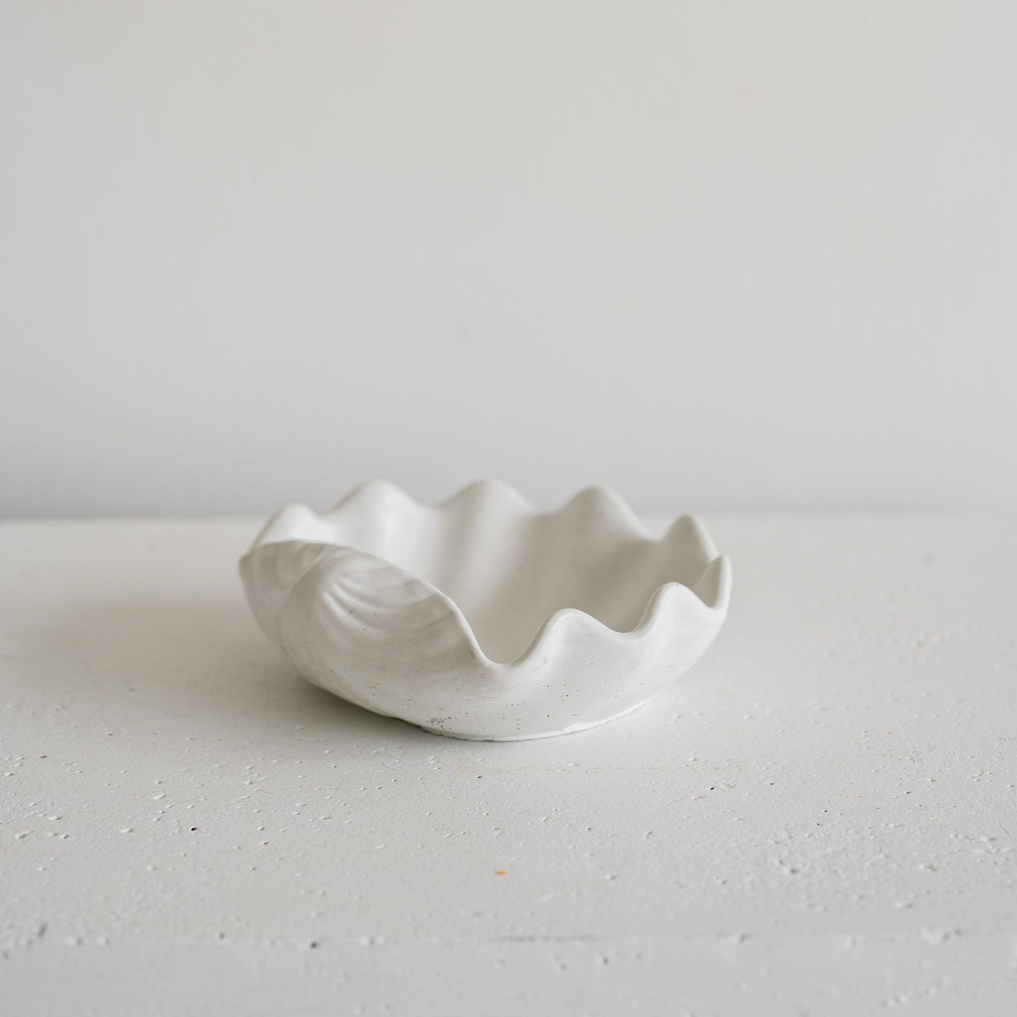 The Shell Tray
