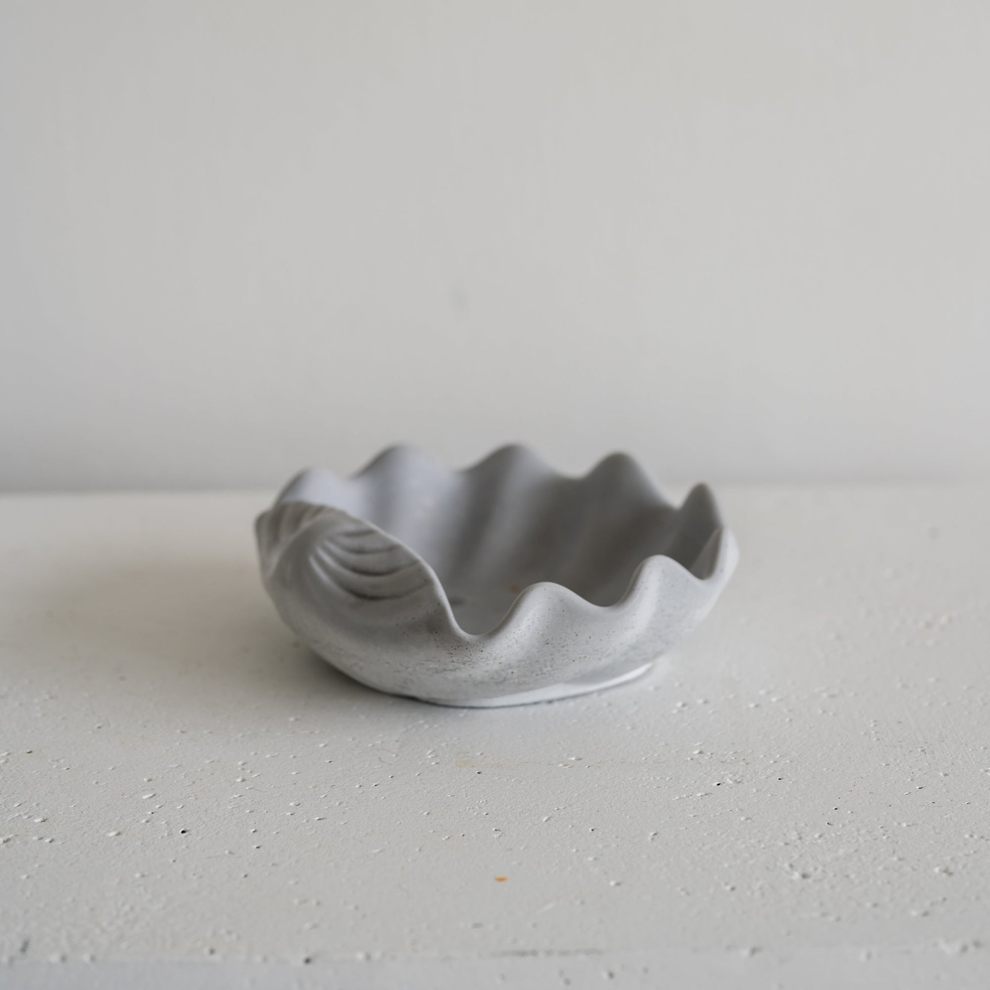 The Shell Tray